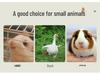 Portable Pet Fence: DIY Indoor/Outdoor, Free-Combining Small Animal Yard Cage.
