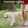 Grand Line Pet Slip Lead Rope for Extra Large Dogs and Cats Pink X 150cm Small, Medium, Large, - 1.5m 0.6cm