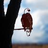 Gardening Ornaments  Owl Bird Art Creative Simulation Animal Bird Ornament Garden Statues Yard Decor Gift Easter Decoration
