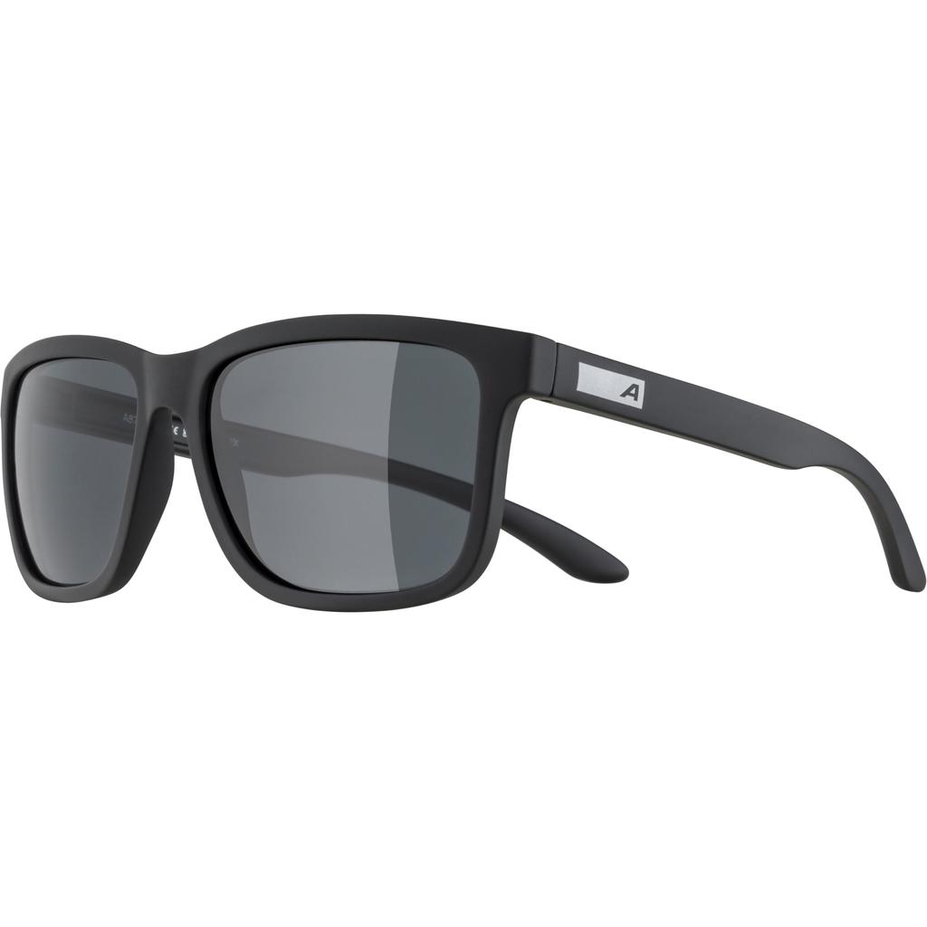 Soft Large BURST Black Matte [Alpina] Sunglasses, Frame, Size,