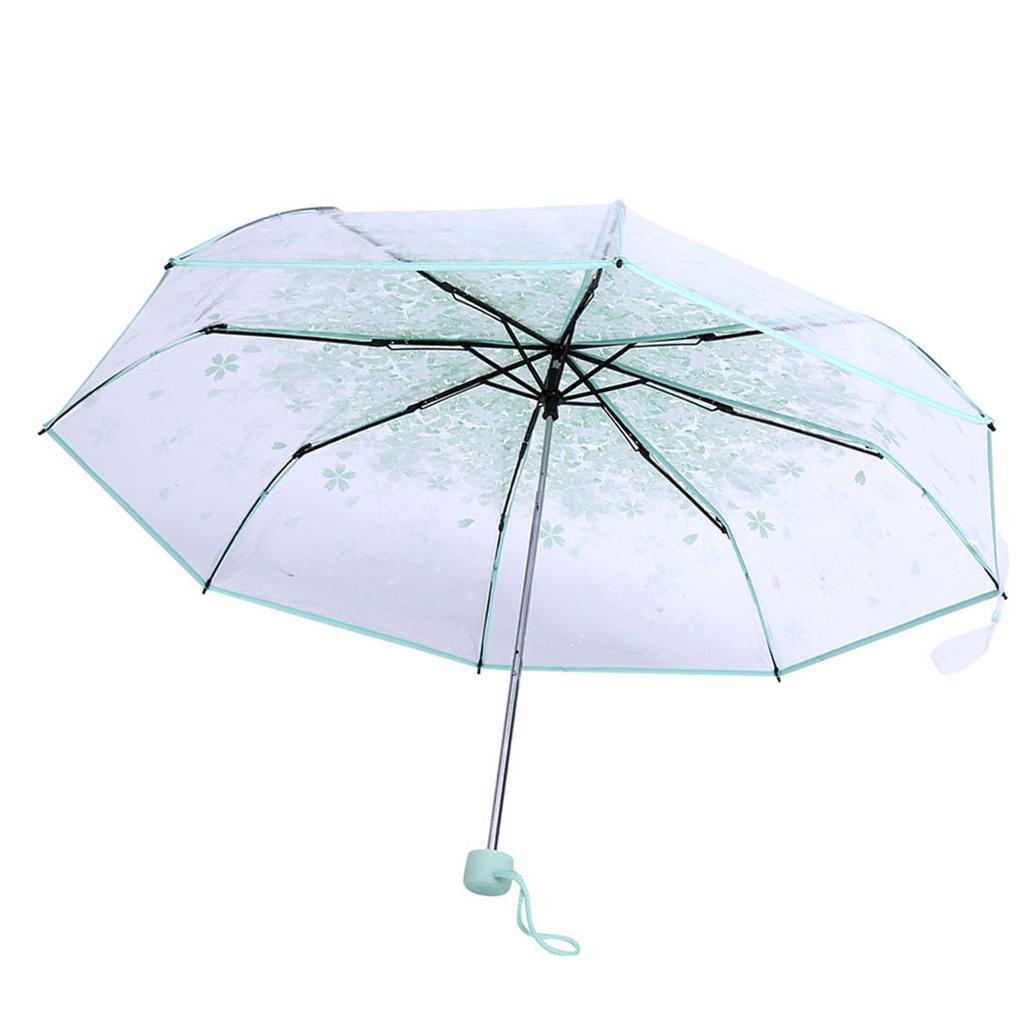 1PC Transparent Folding Umbrella Fashionable Princess Umbrella Cherry Blossom # Light Green