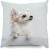 Cute White Chihuahua Dog Pillowcase D Flat Printed Peach Skin Cushion Cover Realistic Pet For Sofa Living Room Home Decor