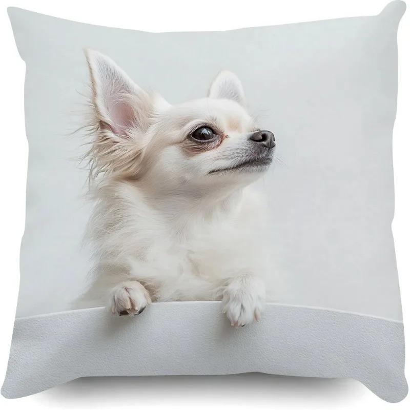 Cute White Chihuahua Dog Pillowcase D Flat Printed Peach Skin Cushion Cover Realistic Pet For Sofa Living Room Home Decor