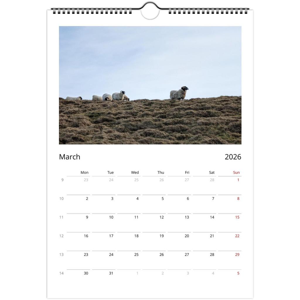 Väggkalender 2026, Kalender med roligt tema, Rolig chattgåva, Perfekt val för hemmabruk.