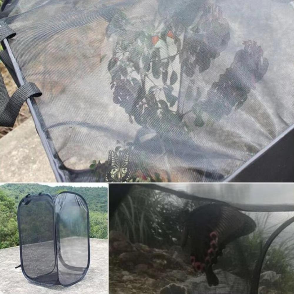 Durable Black Butterfly Habitat Collapsible Outdoor Sunroom Net Cloth Mesh Cages Butterfly Terrarium