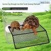 Reptile – Terarii pentru reptile