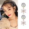 Neue Ohrringe im koreanischen Stil, elegant, exquisit, für Mädchen, Retro-Barock, glänzende Strassblumen, Clip-Ohrringe ohne Piercing