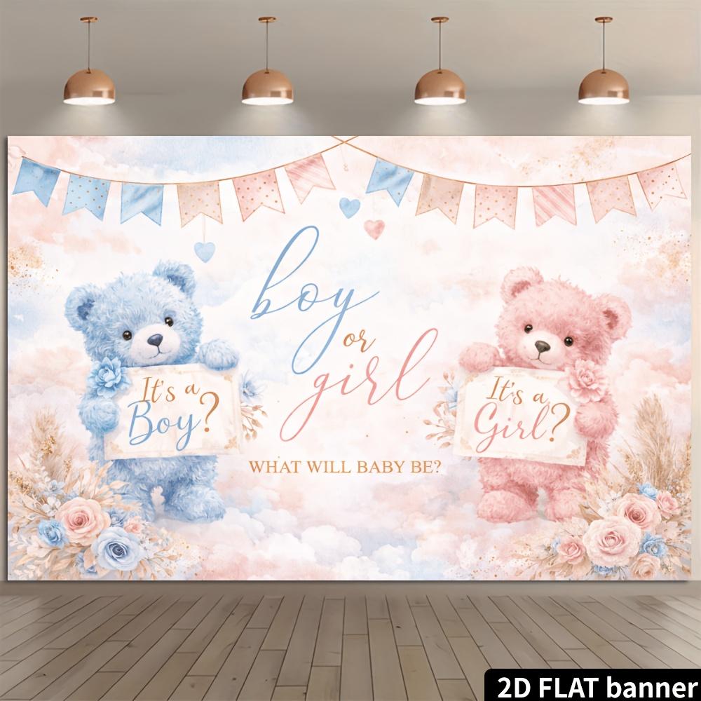 2D Plane Gender Revealing Party Background Fabric - Pink and Blue Teddy Bear Watercolor Theme