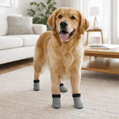 Bekleidung & Schuhe – Hundeschuhe