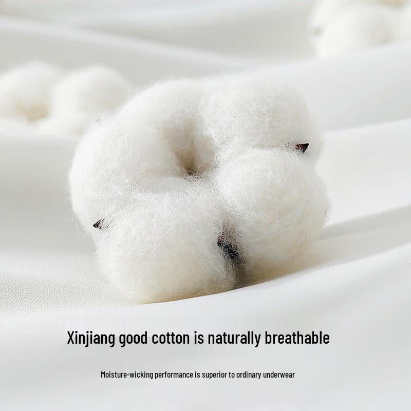 MaoRen Men's Cotton Antibacterial Boxer Briefs 4-Pack