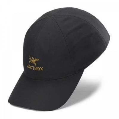 Casquette Arcteryx Bird Word Aeqsu09463