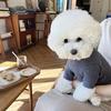 Pet Spring and Autumn Waffle Hoodie Fashion Letter Embroidered Bottom Shirt Cute Pet Dog