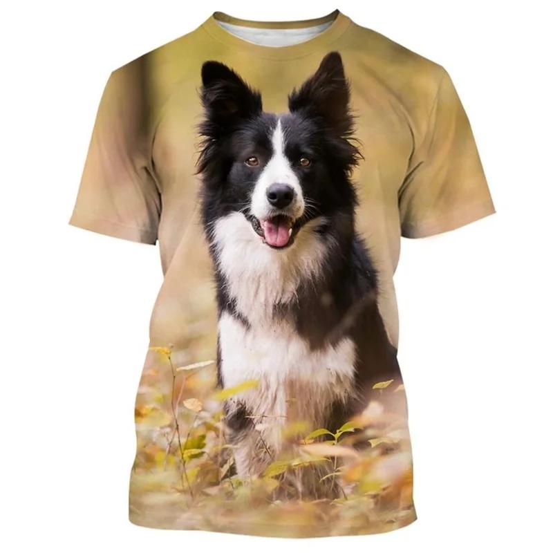 

Border Collie 3D Printed T-shirt For Men Fashion Cute Animal Dog Unisex Round Neck Casual Short Sleeve Tee Shirt Clothing 6XL
