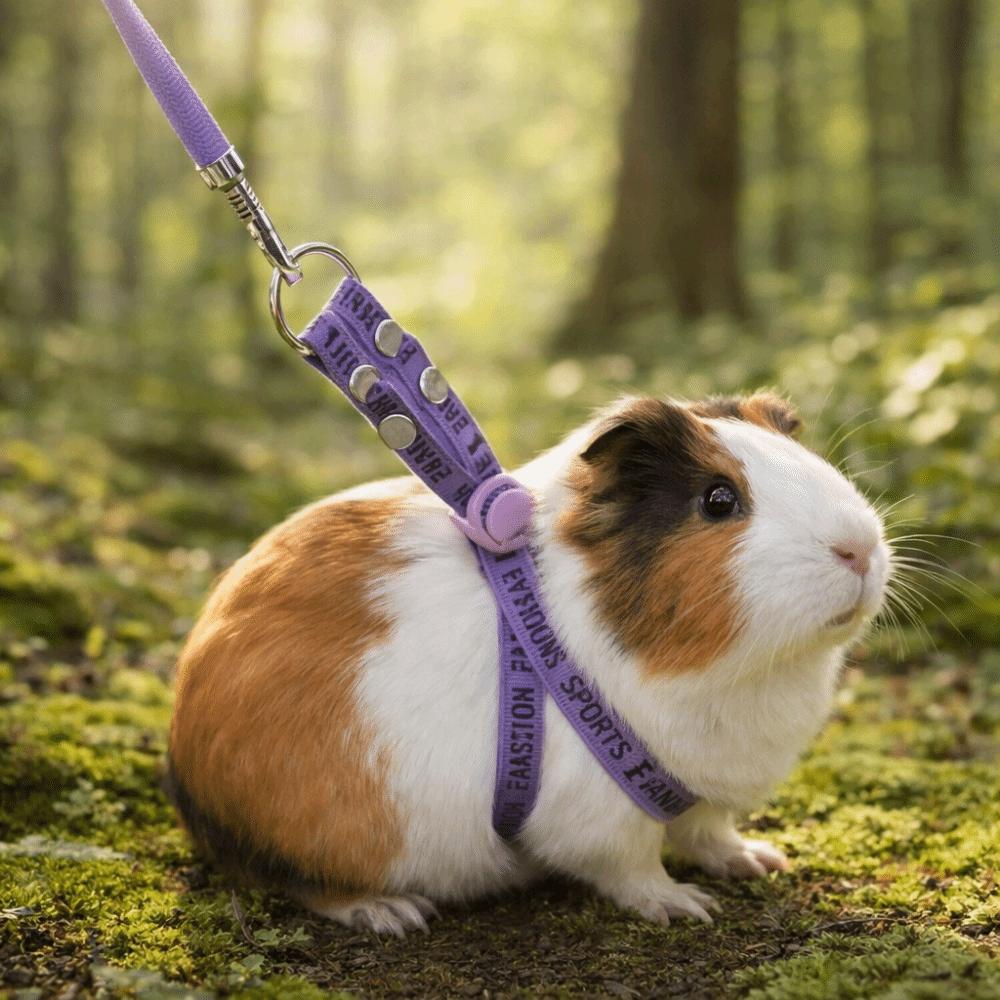Soft Guinea Pig Harness Escape Proof Ferret Anti Loss Rope Ferret Harness Leash  Small Pets