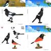 Lifelike Crow Bird Model Pvc Material Educational Toy Bird Figurine Non-assembly 3c Certified