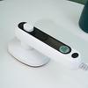 Portable Mini Garment Steamer: Handheld Multifunctional Electric Iron for Household Use