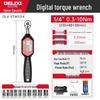 Delixi High-Precision Adjustable Digital Torque Wrench Socket