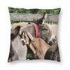 Katie And Katy Donkey Sanctuary Pillowcase Polyester Linen Velvet Creative Zip Decorative Bed Cushion Cover X