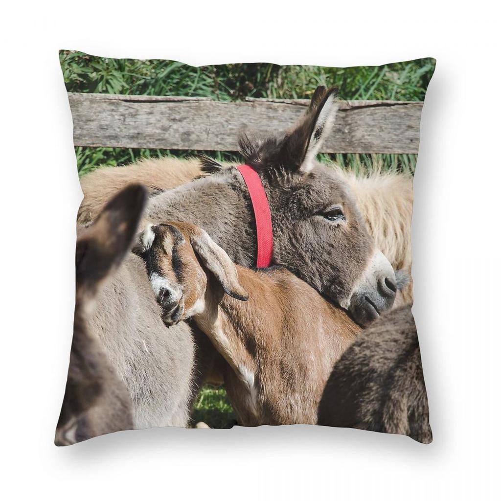 Katie And Katy Donkey Sanctuary Pillowcase Polyester Linen Velvet Creative Zip Decorative Bed Cushion Cover X