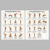 Senior Exercise Plan Poster 30 Day Daily Illustrated Workout Guide No Experience Needed for Elderly Home Fitness Use