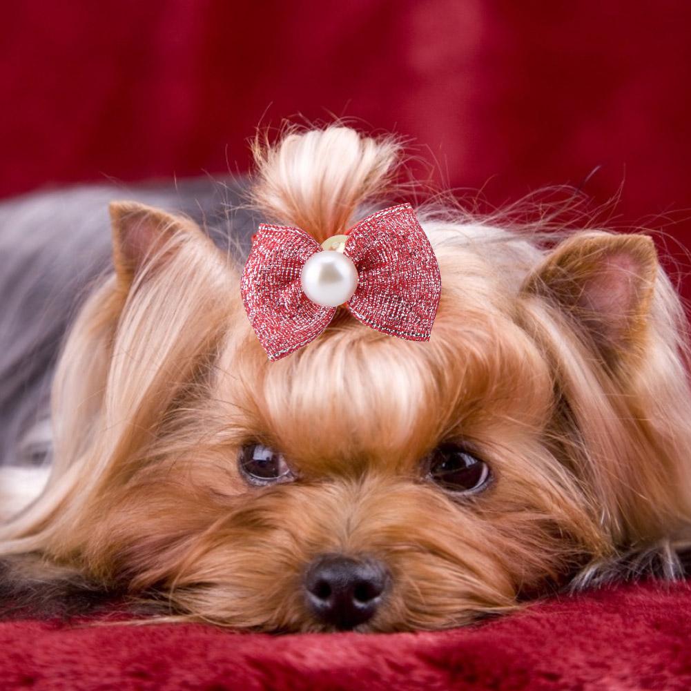 30pcs Cat Puppy Bowknot Hair Rubber Bands with Fake Pearl Pet Hair Accessories