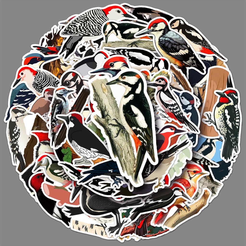 50 Woodpecker Graffiti Stickers Personalized Cartoon Animals Birds Decorative Water Cup Computer Mobile Phone Case Stickers