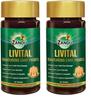 Livital 90 Tablets Pack of 2 | Ayurvedic Liver Support, Digestion & Detox Supplement for Wellness