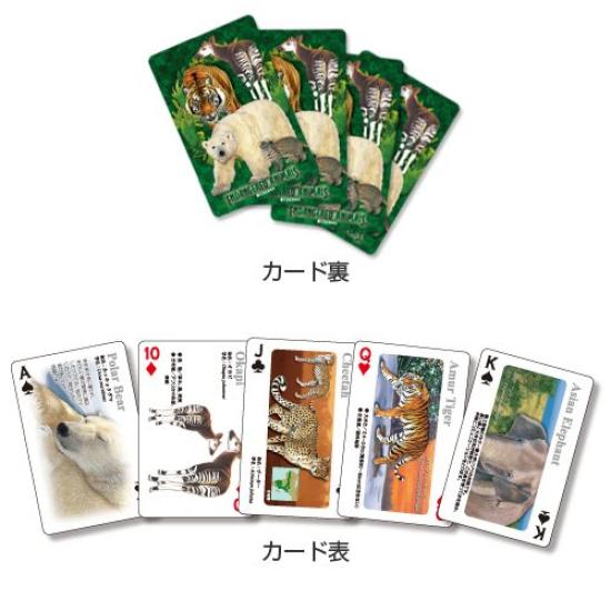 Carolata Real Animal Learning Playing Cards Animals Animal Toys Educational Toys Playing Cards Games Picture Book Gifts Presents (Animals/Quiz