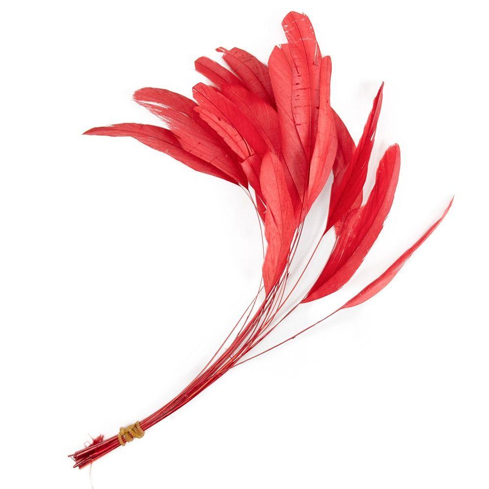 10Pcs Natural Feather Rooster Feather Multicolor Craft Feathers Wedding Decor