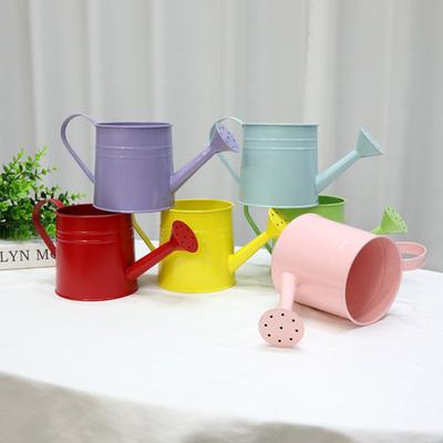 Annaffiatoio in Metallo Vaso Lungo con Testa a Doccetta Beccuccio Annaffiare Giardino Annaffiatoio