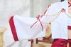 Clearstone Halloween Cosplay Costume - Women's Haori Shrine Maiden Costume (Red)