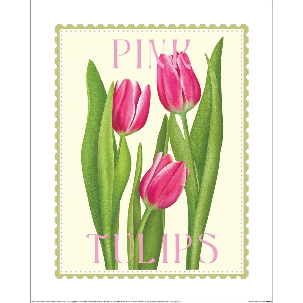 Tall Boy Prints Pink Tulips Paper Print