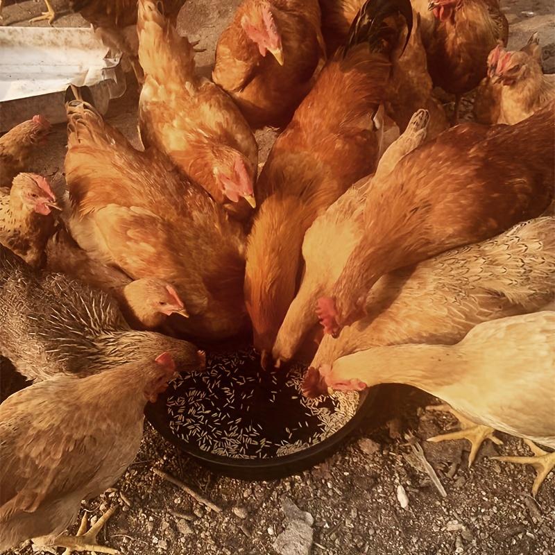 

3-Pack Large plastic Feeding Pans, 3-Gallon Plastic Horse Feeder, Dog Bowl, Pig Feeder, Goat Chicken Manure Bath Container S 3pcs