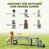 3 Pieces Wooden Dog Agility Training Equipment with Soft Bridge, Pause Platform and Pet Stair for Outdoor, Grey