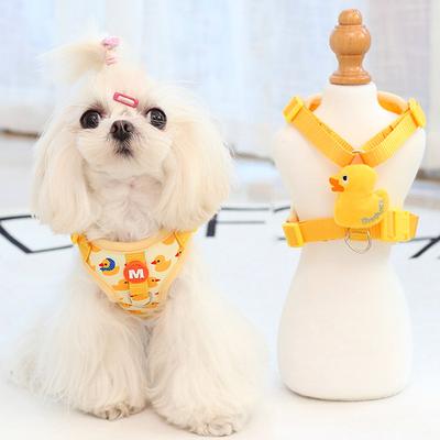 Haustierprodukte süße Katze Hund Leine Hundespazierleine Hundeseil kleiner Hund Weste Brustgurt grenzüberschreitend