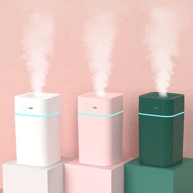 GEERSINUO Night Light Humidifier