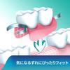 Poligrip New S Partial/Complete Denture Adhesive (Mint Flavor) 75g + New Additive-Free 8.5g (Not for Sale) [.co.jp Exclusive]