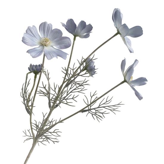Artificial Cosmos Bipinnatus UV Resistant Fake Silk Galsang Flower Home Office Wedding Party Indoor Outdoor Faux Bloom Decoration