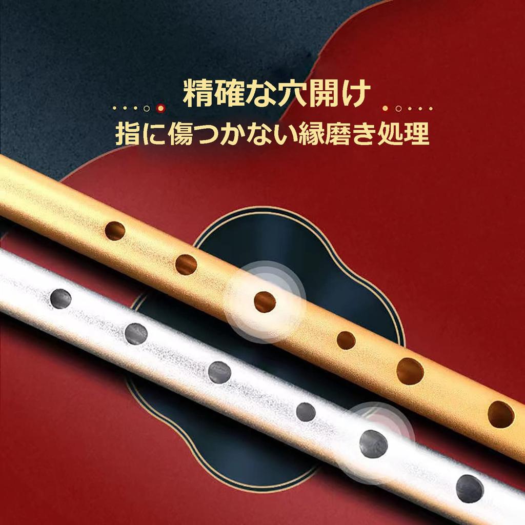 Jinchuan Tin Whistle, Aluminum, D-Flute, C-Flute, with Instructional Materials, Storage BagCase, Gold and Silver (Silver, D Key)