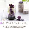 Hana Marika Sympathy Flowers, Preserved Flowers, Memorial Flower Dome, Incense Set, Incense and Flowers, Gift (Purple & Lavender Set)