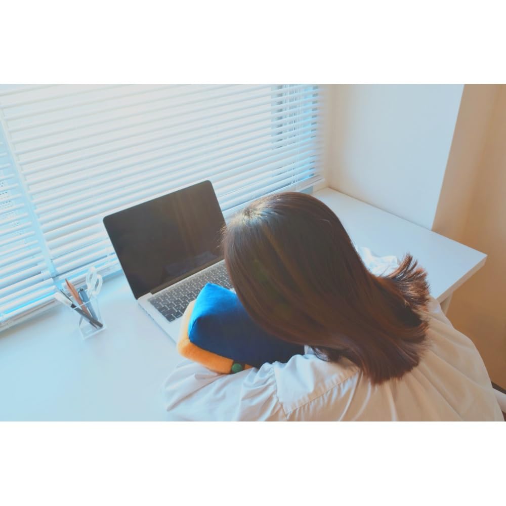 Nippon Rikagaku Nostalgic Chalkboard Wiper Series Nap Pillow DRF-OMK