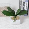 Simulation Phalaenopsis Leaf Artificial Plants Soft Rubber Phalaenopsis Leaf for Flowers Garden Bonsai Decor
