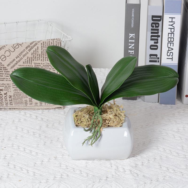 Simulation Phalaenopsis Leaf Artificial Plants Soft Rubber Phalaenopsis Leaf for Flowers Garden Bonsai Decor