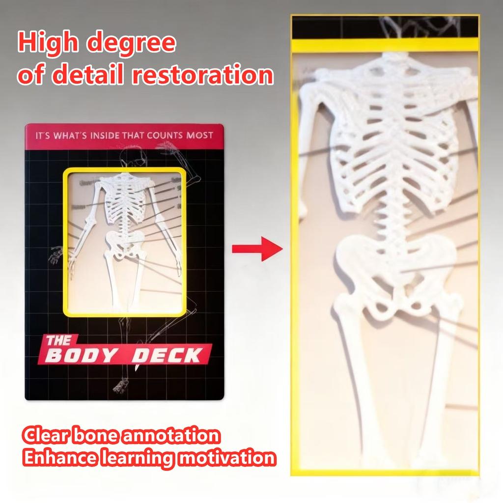 Human Skeleton Knowledge Poker Cards, Transparent PVC Waterproof Cards, Educational Gifts and Collectibles for Medical Students