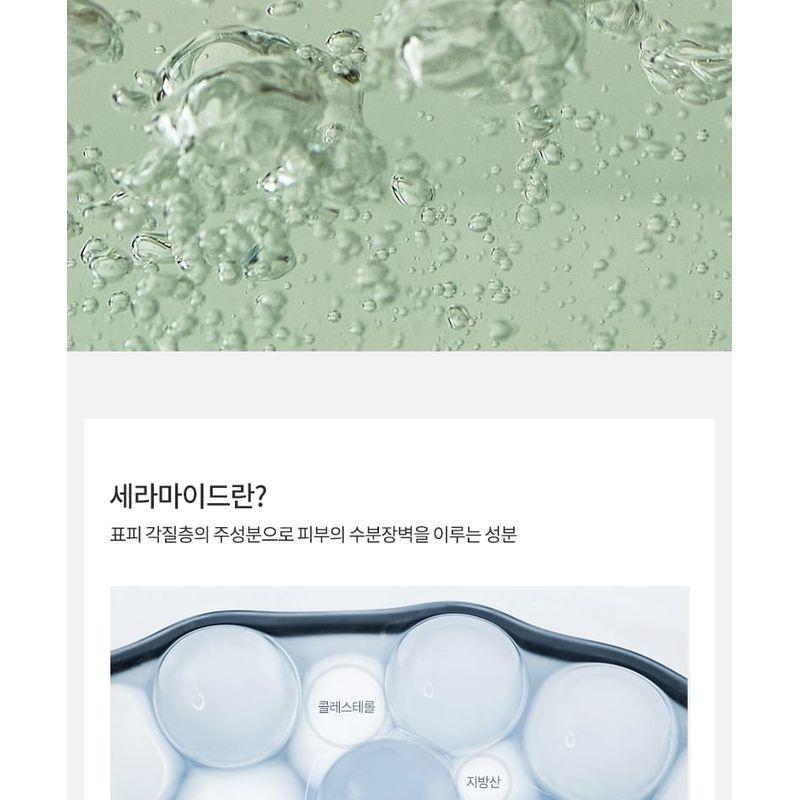 Anua Heartleaf Succinic Moisture Cleansing Foam