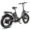 Fafrees F20 X-Max Electric Bike 20*4.0 Inch Fat Tire 750W Brushless Motor 48V 30AH Battery
