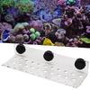 Aquarium Meerwasser Korallen Racks Halterung Halter Fischtank Knopfframe Verbesserter Saugfuß 32 Löcher