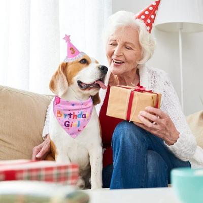 Süßes Hunde-Geburtstagshut-Set Pailletten Bunter Katzen-Dreiecksschal Verstellbar mit Zahlen Fliege Haustier-Geburtstagshüte für Hunde Katzen