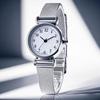 New Round Watches Adjustable Strap Luxury Wristwatches Mesh Belt Quartz Watch Gifts