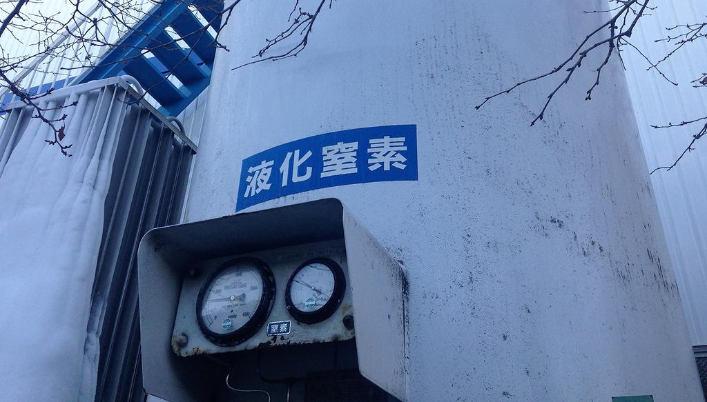 EXC-HG Low Profile Fuse 30 Amp EXC-HG-TH30S